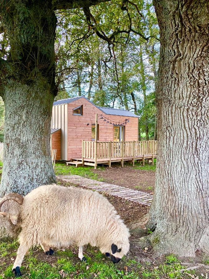 Vila Jolie Tiny House Sous Les Grands Arbres Cholet Exteriér fotografie