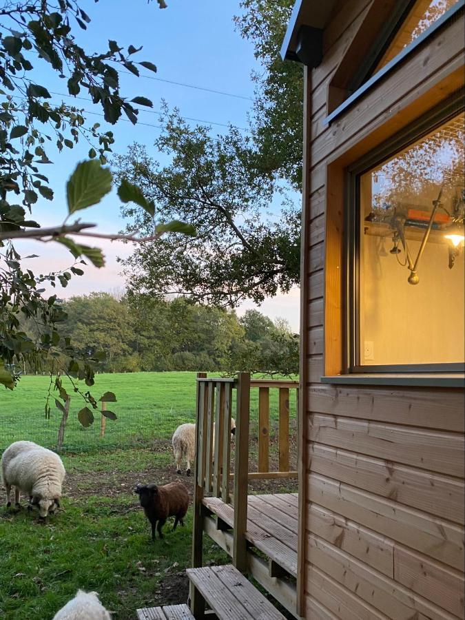 Vila Jolie Tiny House Sous Les Grands Arbres Cholet Exteriér fotografie