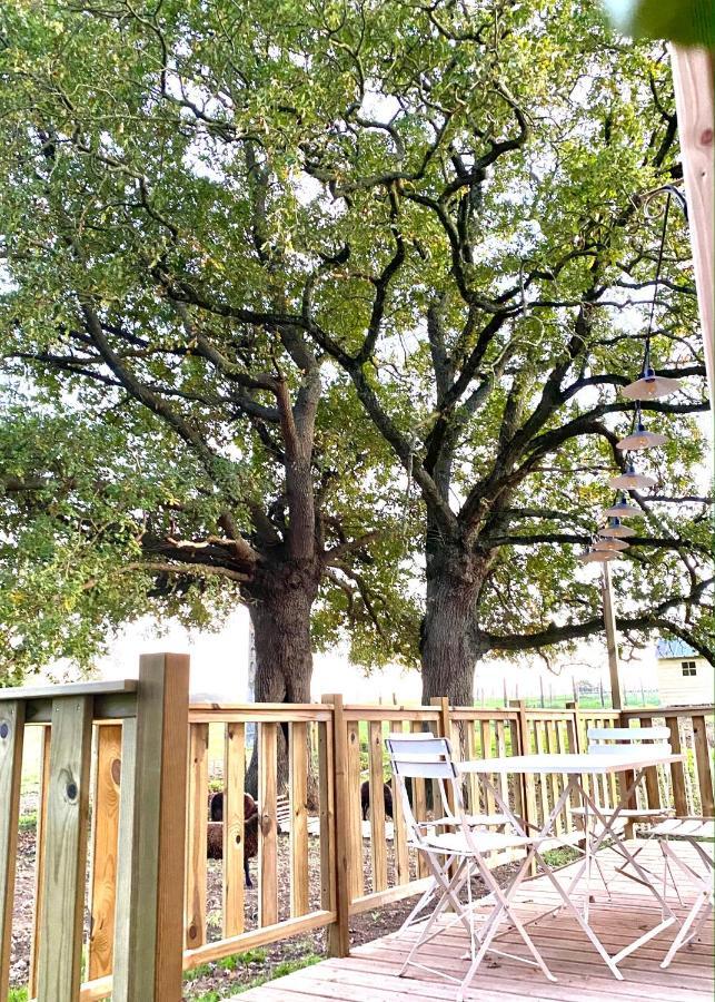 Vila Jolie Tiny House Sous Les Grands Arbres Cholet Exteriér fotografie